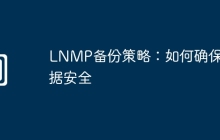 LNMP备份策略：如何确保数据安全