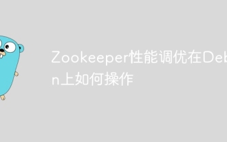 Comment faire fonctionner le réglage des performances de Zookeeper sur Debian