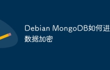 Debian MongoDB如何进行数据加密