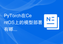 PyTorch在CentOS上的模型部署有哪些方法