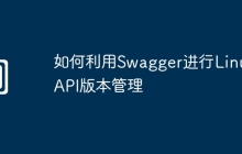 如何利用Swagger进行Linux API版本管理