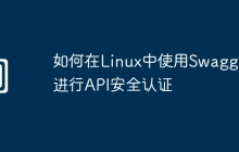 如何在Linux中使用Swagger进行API安全认证