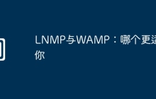 LNMP与WAMP：哪个更适合你