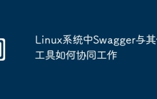 Linux系统中Swagger与其他工具如何协同工作