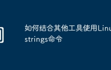 如何结合其他工具使用Linux strings命令
