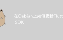 在Debian上如何更新Flutter SDK