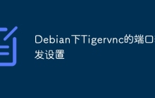 Debian下Tigervnc的端口转发设置