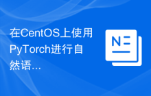 在CentOS上使用PyTorch进行自然语言处理