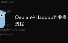Debian中Hadoop作业提交流程
