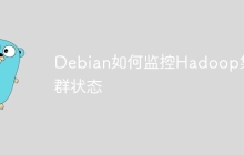 Debian如何监控Hadoop集群状态