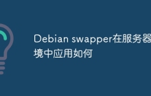Debian swapper在服务器环境中应用如何