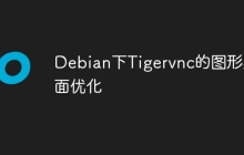Debian下Tigervnc的图形界面优化
