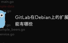 GitLab在Debian上的扩展功能有哪些