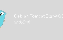 Debian Tomcat日志中的SQL查询分析
