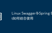 Linux Swagger与Spring Boot如何结合使用