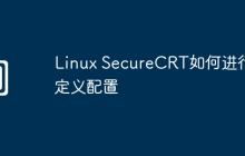 Linux SecureCRT如何进行自定义配置