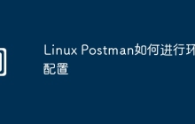 Linux Postman如何进行环境配置