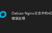 Debian Nginx日志中的404错误处理