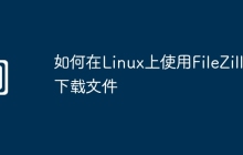 如何在Linux上使用FileZilla下载文件