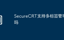 SecureCRT支持多标签管理吗