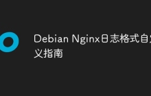 Debian Nginx日志格式自定义指南