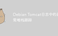 Debian Tomcat日志中的异常堆栈跟踪