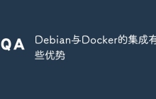 Debian与Docker的集成有哪些优势