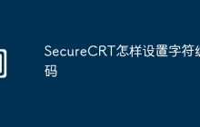 SecureCRT怎样设置字符编码