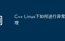 C++ Linux下如何进行异常处理