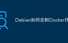 Debian如何定制Docker环境
