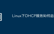 Linux下DHCP服务如何启动