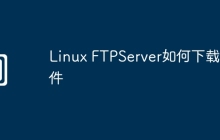 Linux FTPServer如何下载文件
