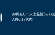 如何在Linux上监控Swagger API运行状态