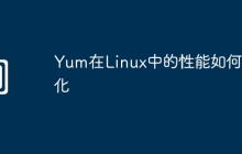 Yum在Linux中的性能如何优化