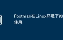 Postman在Linux环境下如何使用