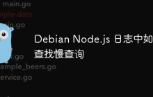 Debian Node.js 日志中如何查找慢查询
