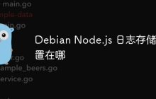 Debian Node.js 日志存储位置在哪