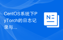 CentOS系统下PyTorch的日志记录与分析方法