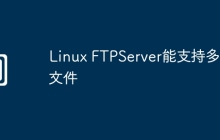 Linux FTPServer能支持多大文件