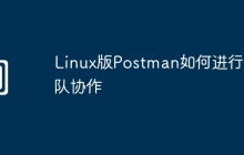 Linux版Postman如何进行团队协作