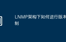 LNMP架构下如何进行版本控制