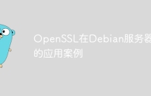 OpenSSL在Debian服务器上的应用案例