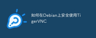 如何在Debian上安全使用TigerVNC