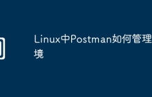 Linux中Postman如何管理环境