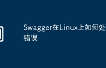 Swagger在Linux上如何处理错误