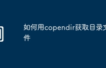 如何用copendir获取目录文件