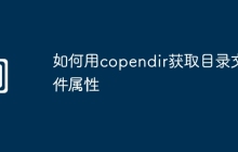 如何用copendir获取目录文件属性