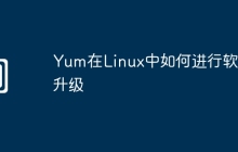 Yum在Linux中如何进行软件升级