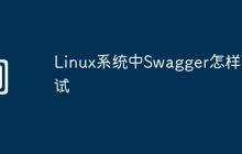 Linux系统中Swagger怎样调试