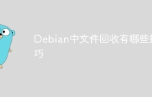 Debian中文件回收有哪些技巧